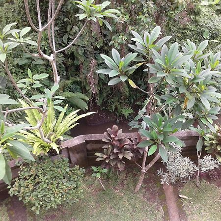 Dewi Ayu Accomodation Ubud Eksteriør bilde