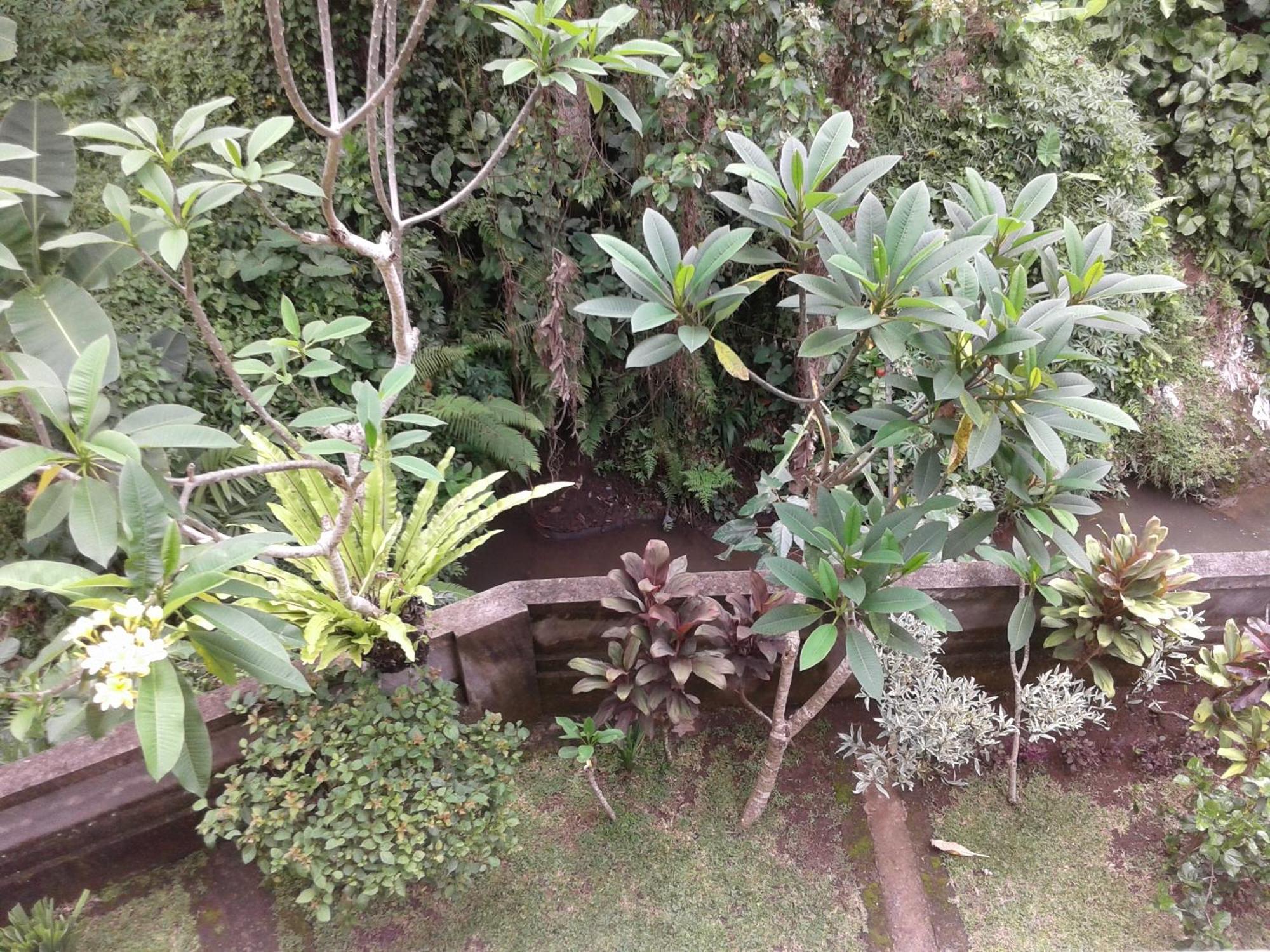 Dewi Ayu Accomodation Ubud Eksteriør bilde