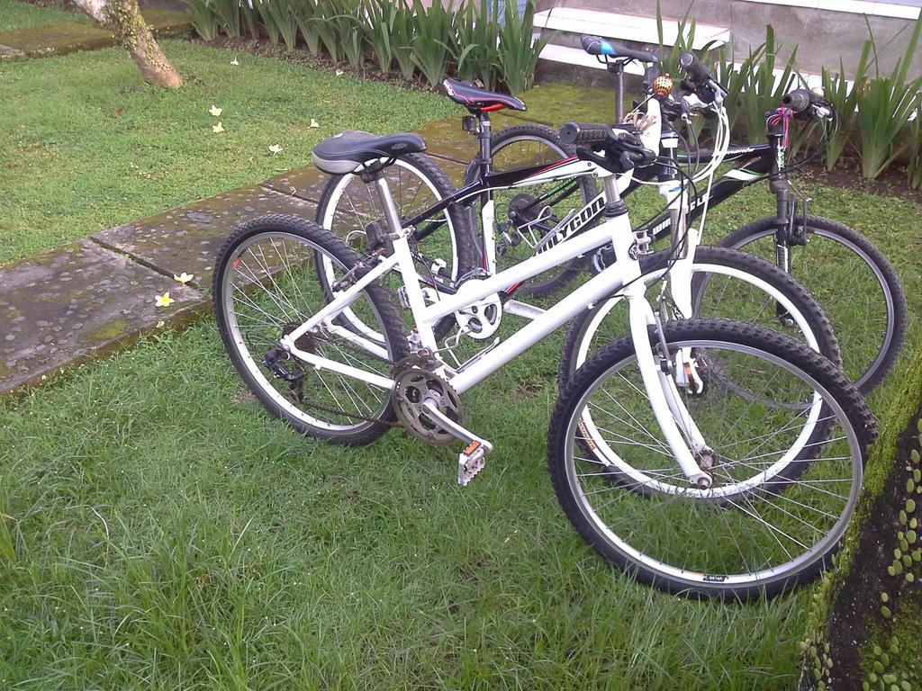 Dewi Ayu Accomodation Ubud Eksteriør bilde